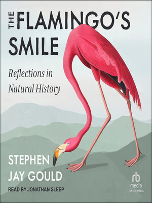 cover image of The Flamingo's Smile